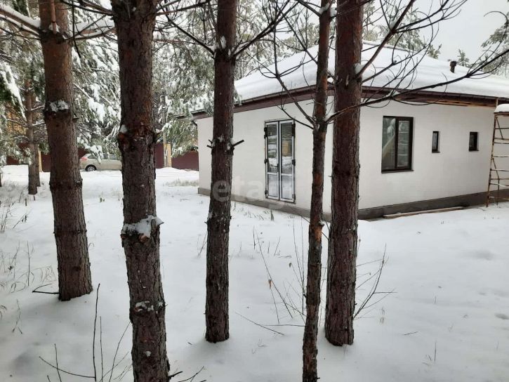 Коттедж/дом Лесные Тропы