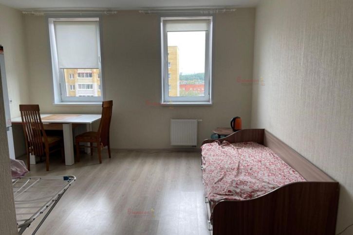 Студия Шолохова 2/2