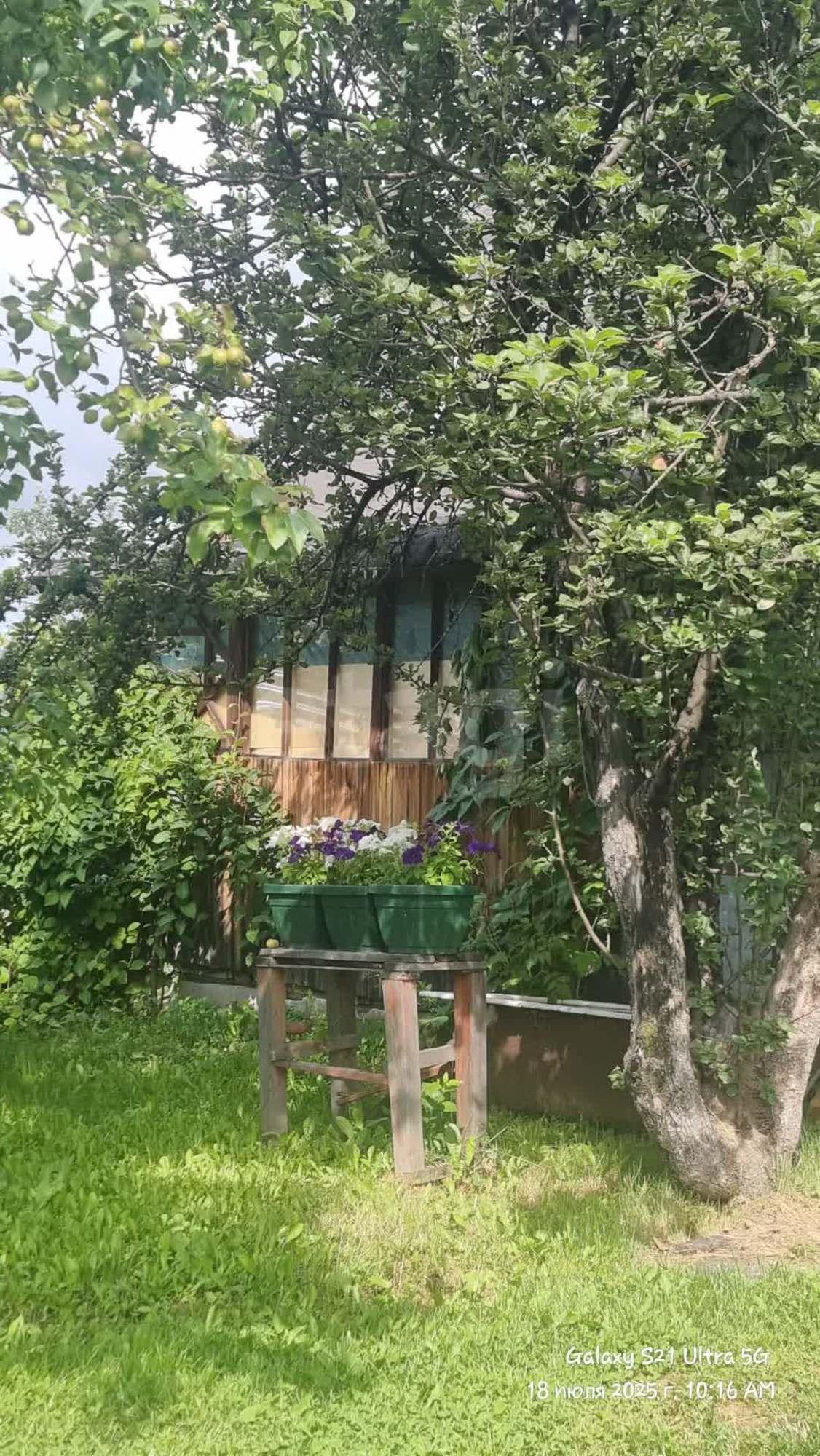 Купить дачу, дом, коттедж за 2 500 000 рублей на Злые собаки