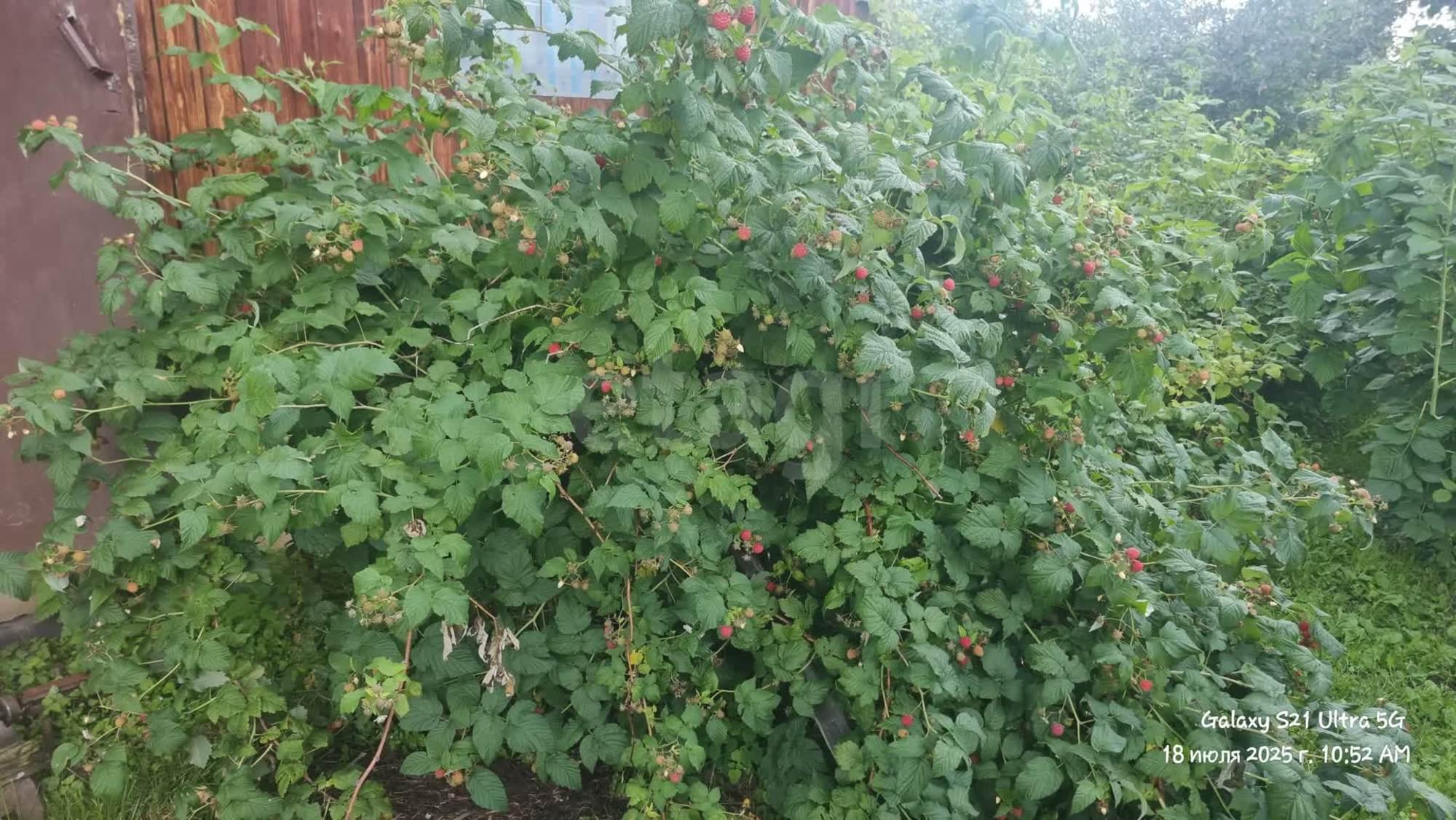 Купить дачу, дом, коттедж за 2 500 000 рублей на Злые собаки