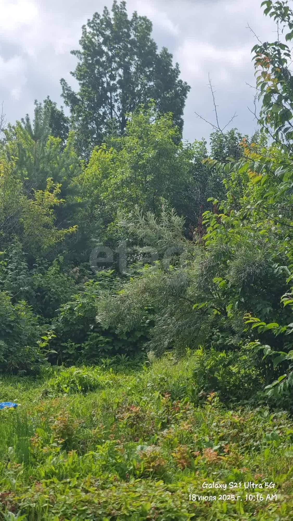 Купить дачу, дом, коттедж за 2 500 000 рублей на Злые собаки