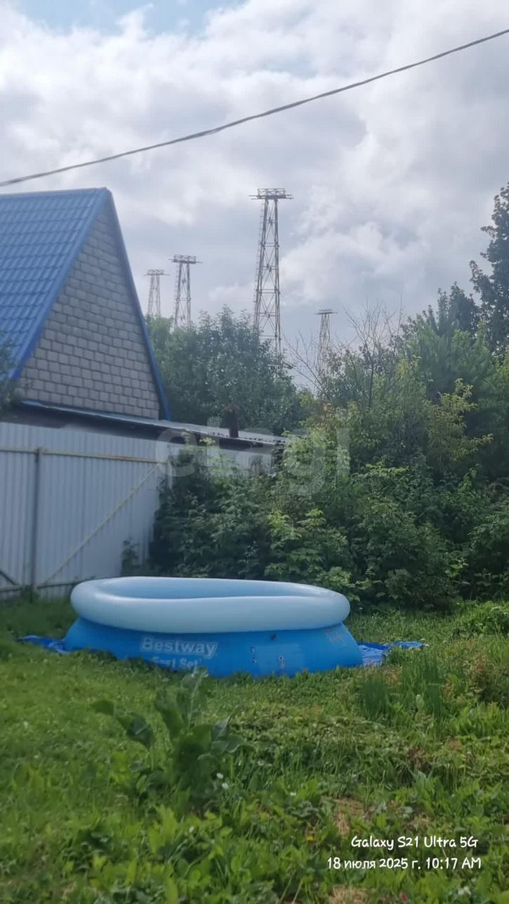 Коттедж/дом Злые собаки