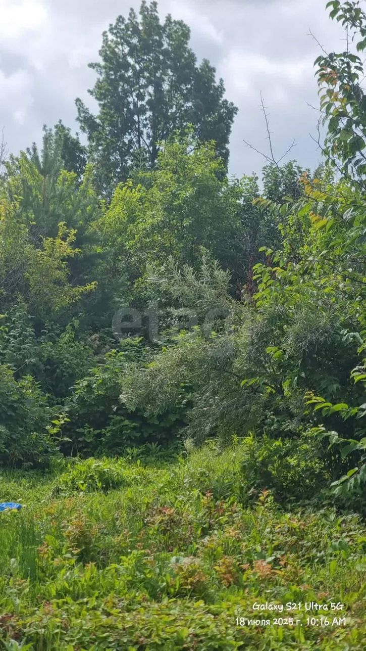 Коттедж/дом Злые собаки