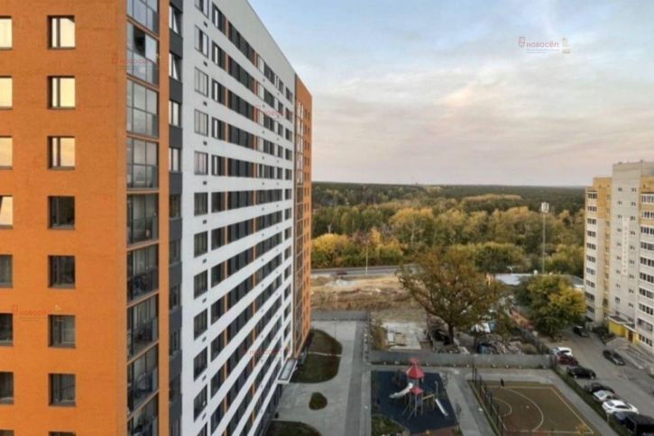 Студия Шолохова 2/2