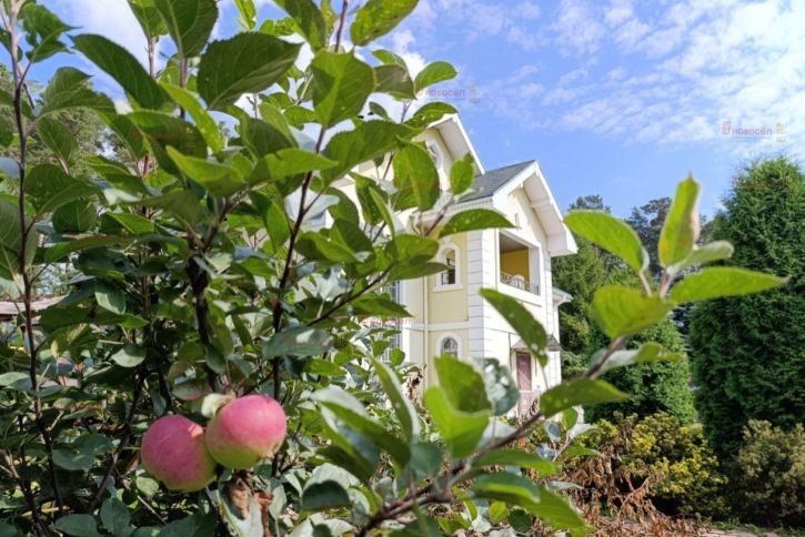 Коттедж/дом Букетный 22