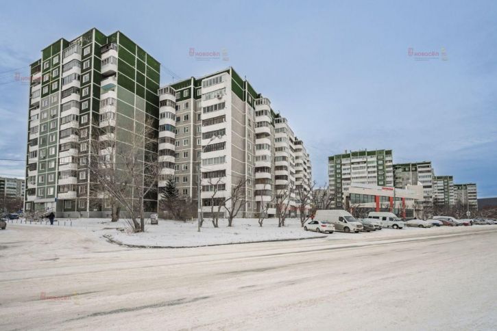 Студия Крестинского 51
