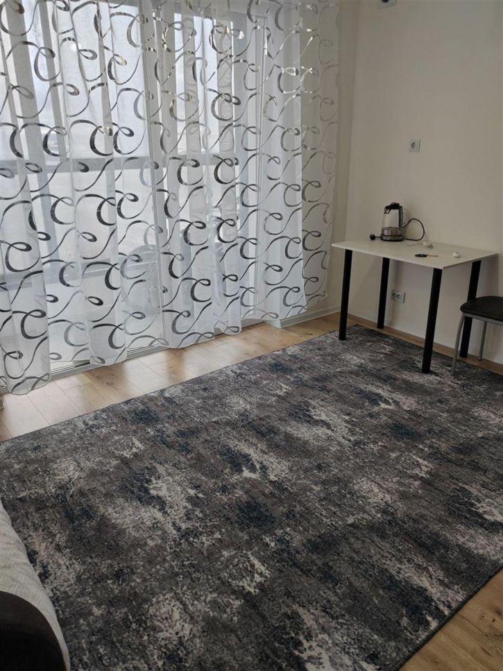 Студия ул Паригория Суетина, д. 3