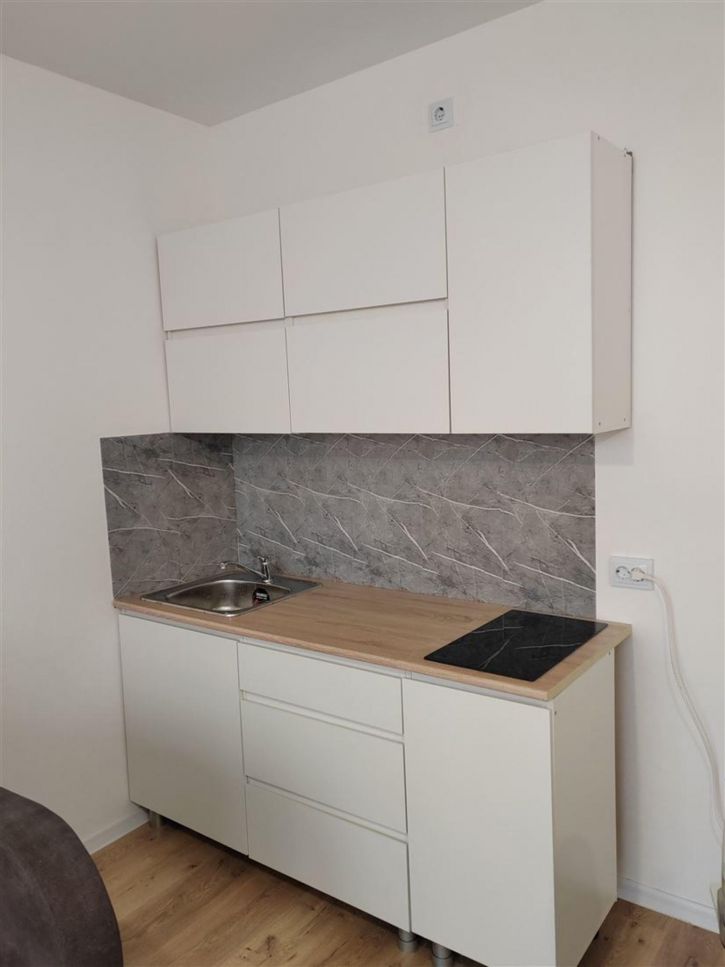 Студия ул Паригория Суетина, д. 3