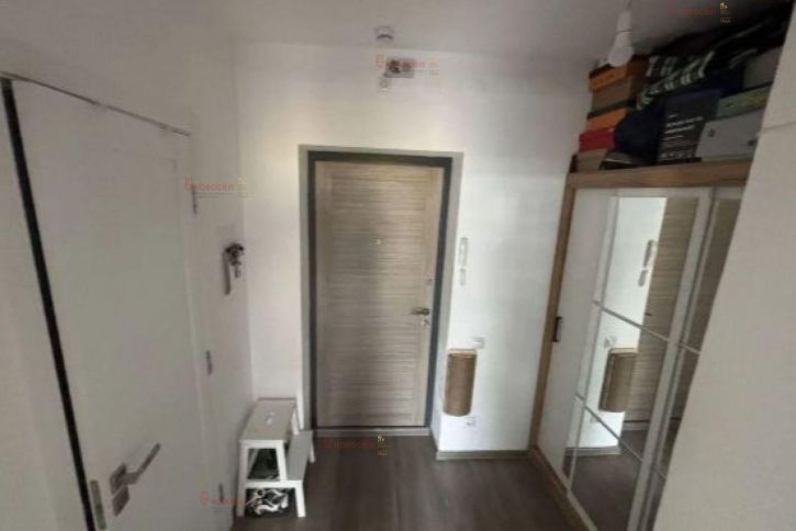 Студия Ландау 49