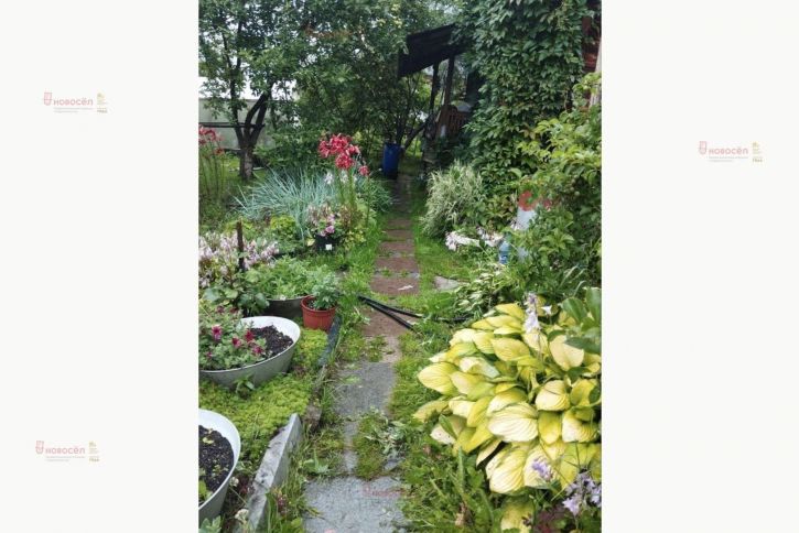 Коттедж/дом коллективный сад Огнеупорщик-Южный 3-35