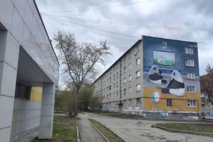Студия Степана Разина 51