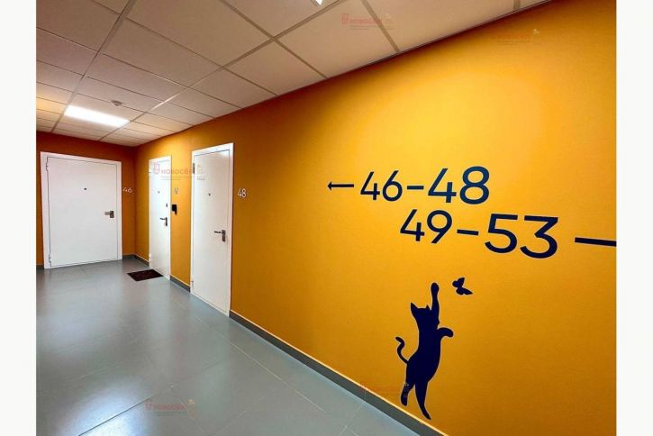 1-комн квартира Щербакова 148