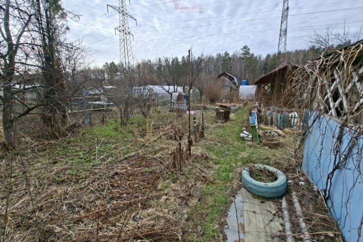Земельный участок к/с 39 СНТ Садовод