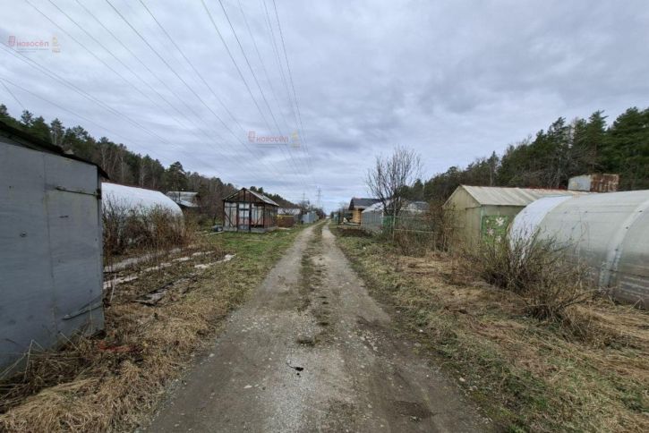 Земельный участок к/с 39 СНТ Садовод