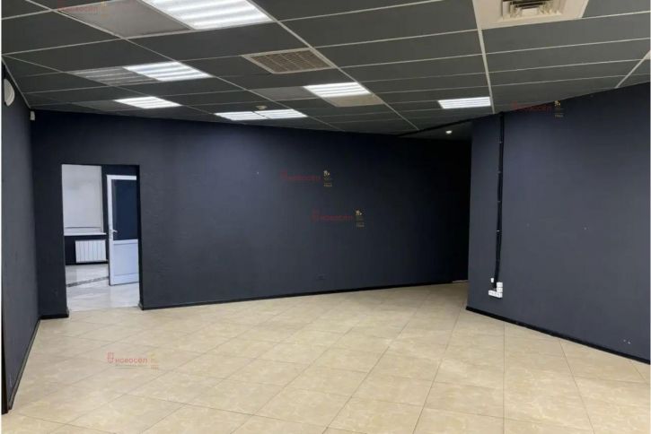 Офис Розы Люксембург 16