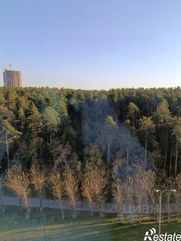 2-комн квартира ул Отрадная, 1А,  д. 1А