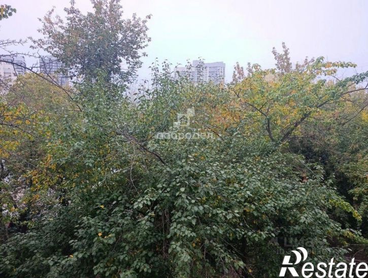 1-комн квартира улица Папанина, 16,  д. 16
